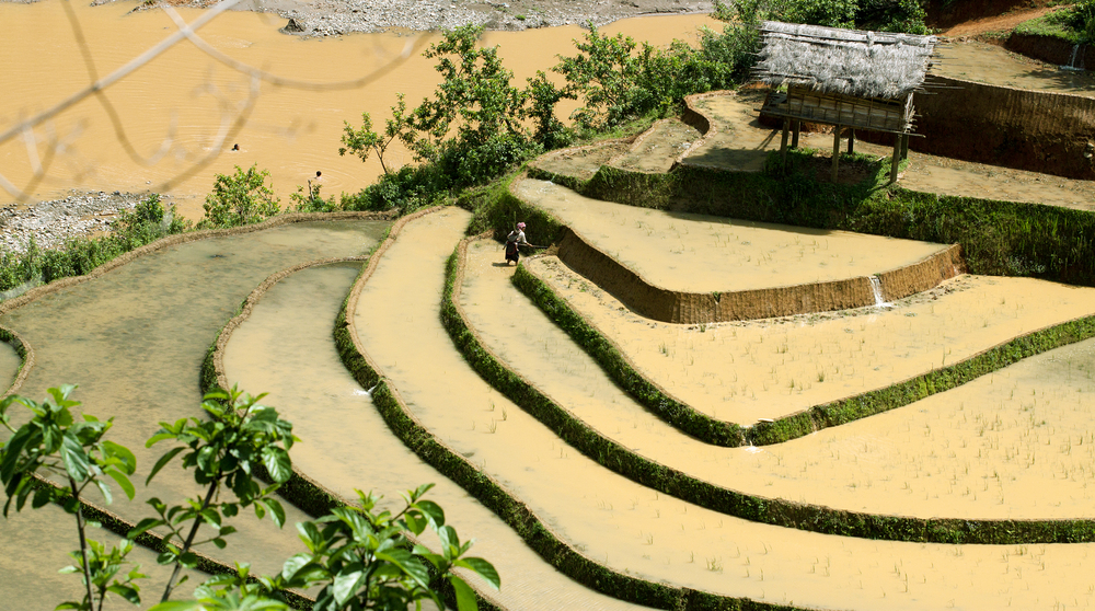 Mise en place d'une terrasse sur un terrain en dénivelé