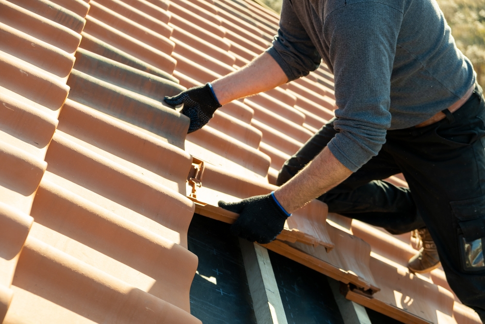 Toiture de terrasse en bois